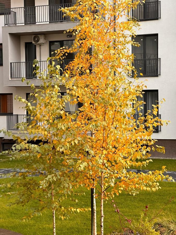 Silver Atol Apartment *